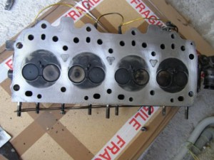 img 1264426922 509