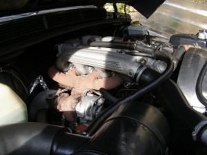 img 1265363205 560