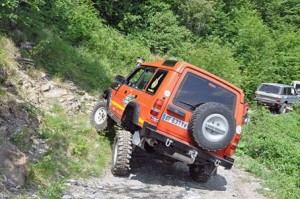img 1308243409 639
