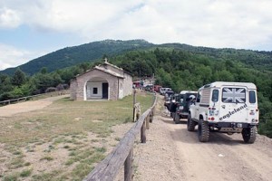 img 1308243421 255
