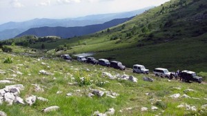 img 1308243462 563